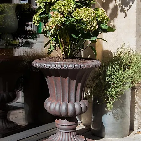 Manoir Sainte Victoire באיו